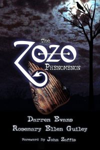 Zozo Phenomenon cover